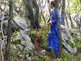 ../newssystem/imagesNews/old_archive/thumbnails/bergung_04_klein.jpg (20542 bytes)